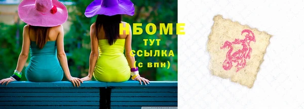 хмурый Алексин