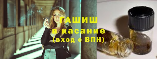 хмурый Алексин
