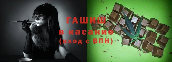 хмурый Алексин