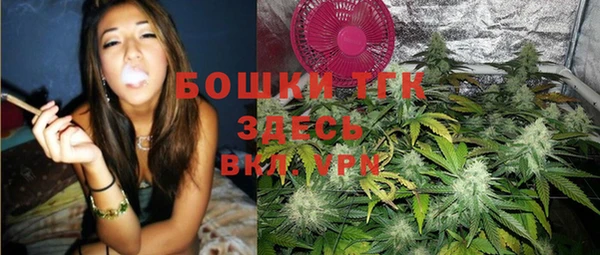 хмурый Алексин
