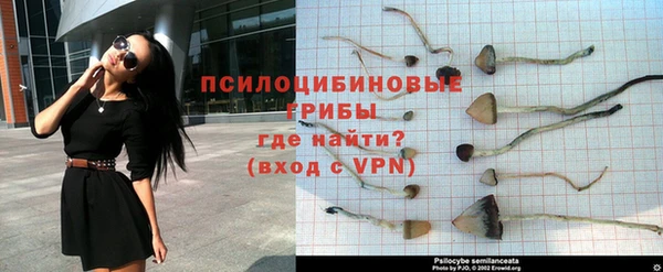 бутират Алексеевка